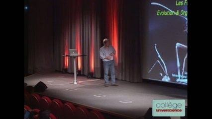 Les fourmis : un modèle extraordinaire