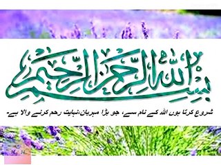 What_is_homeopathy(480p)