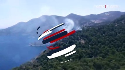 Muğla'da Göbün Koyu'nda ormanlık alanda yangın