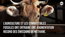Réchauffement climatique : les émissions mondiales de méthane atteignent un niveau record