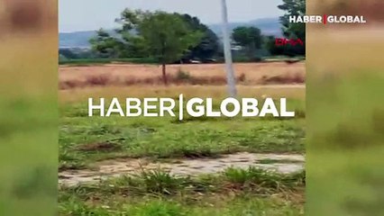 Teneke kutu üzerine çıkarak ata cinsel saldırıda bulundu, adli kontrolle serbest bırakıldı