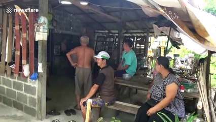 Cobra caught hiding under woman's bed in Thailand