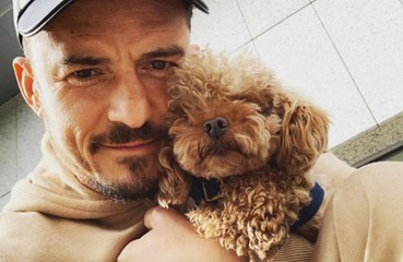 Download Video: Orlando Bloom distrutto, è scomparso il suo amatissimo cane: appello disperato