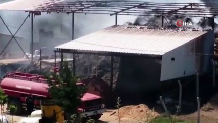 Yanan çiftliği böyle izlediler