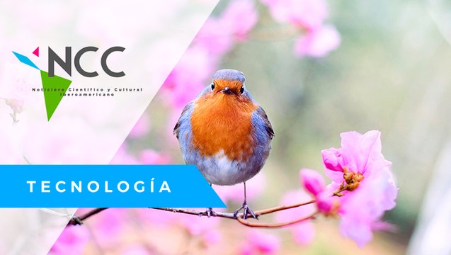 Las aves ur­ba­nas, como in­di­ca­dor de sa­lud me­dioam­bien­tal, son es­tu­dia­das en Mé­xi­co