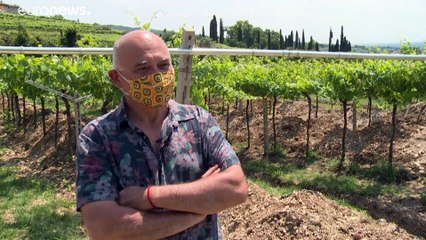 En Italie, sous les vignes, les mosaïques