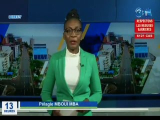 RTG / Audience du chef de l’état Ali Bongo Ondimba avec le secrétaire général du PDG