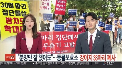 "분양만 잘 했어도"…동물보호소 강아지 33마리 폐사