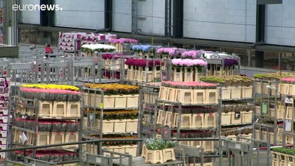 EU-csúcs: kompromisszumot várnak