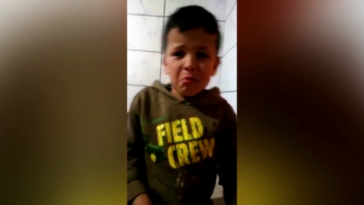 Cão da família some e vídeo de criança chorando viraliza: ‘Você pode voltar? Estou com saudades”