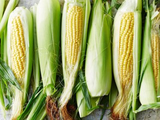 How to Store Corn So It Stays Fresh For Longer