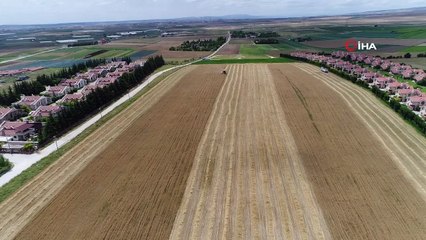 Dolu Yağışları Buğday Ve Arpa Verimini Yarı Yarıya Düşürdü