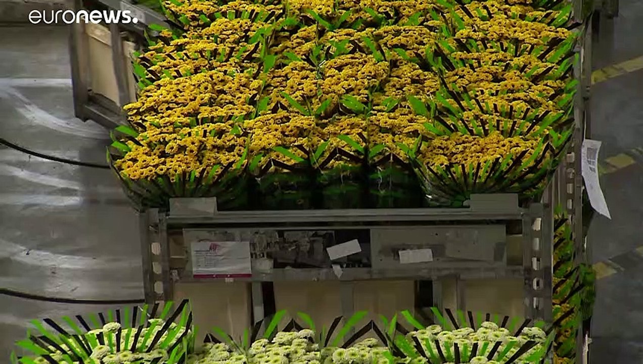 Нидерланды вычисляют свой вклад в подъём ЕС после пандемии