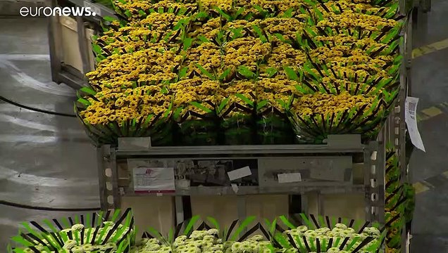 Нидерланды вычисляют свой вклад в подъём ЕС после пандемии