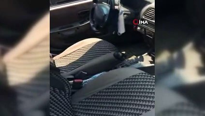 Otomobile giren yılan kazaya neden oldu