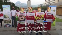جشنواره سگ‌خواری در کره جنوبی؛ معترضان دعوت به گیاهخواری کردند