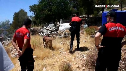 Bodrum'da şoke eden olay! Köpek bahçeye insan kafatası getirdi