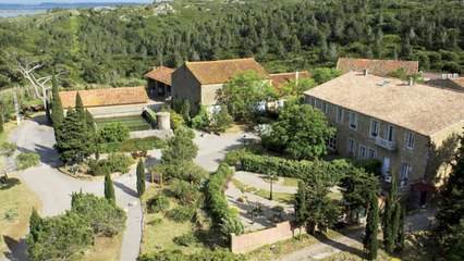 COVID-19 Derail Your Wedding? Rosé All Day Wants to Hear Your Story for the Chance to Win