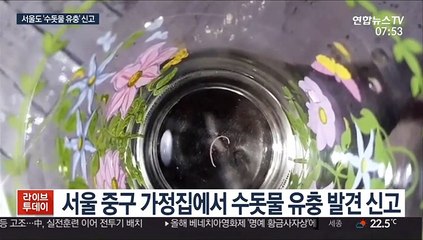서울서도 수돗물 유충…"정수장 아닌 외부 요인"