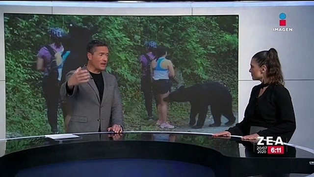 Oso sorprende a deportistas ¡y se toman selfie!