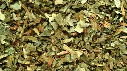 Synthetic Marijuana Linked To Lung Damage, Comas