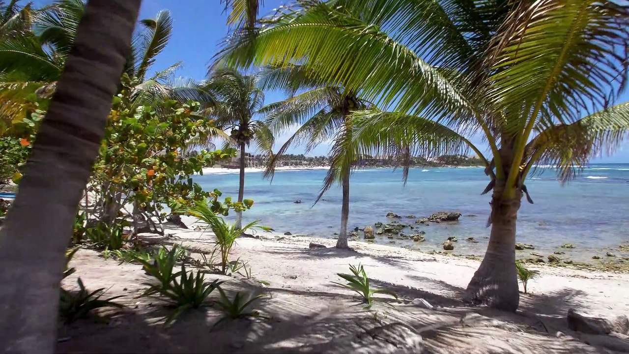 México Tour 4k - Amazing Riviera Maya Road-trip