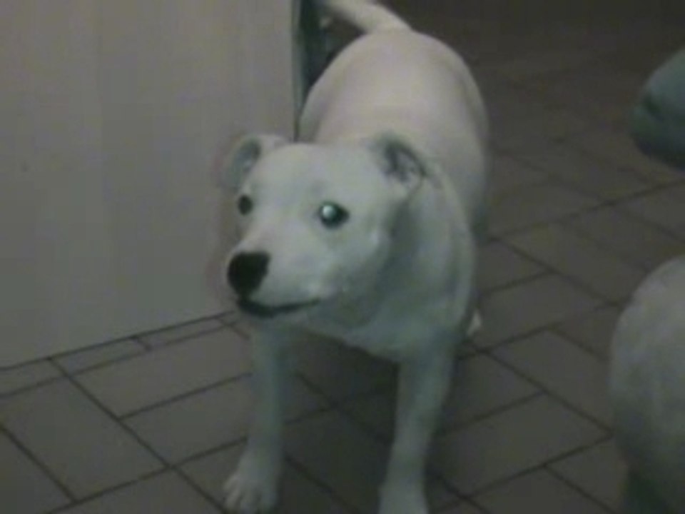 les grogements de clic clac 2