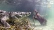 Cette mannequin nage avec un crocodile : séance photo à haut risque