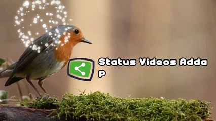 Motivational quotes status - Grab the attention of the world