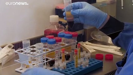 Κατηγορίες κατά της Ρωσίας για χάκινγκ