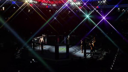 UFC 2 - Stefen Struve vs Kazushi Sakuraba (CPU vs CPU)