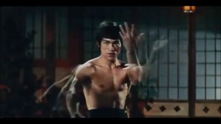 The Best of Bruce Lee Fights