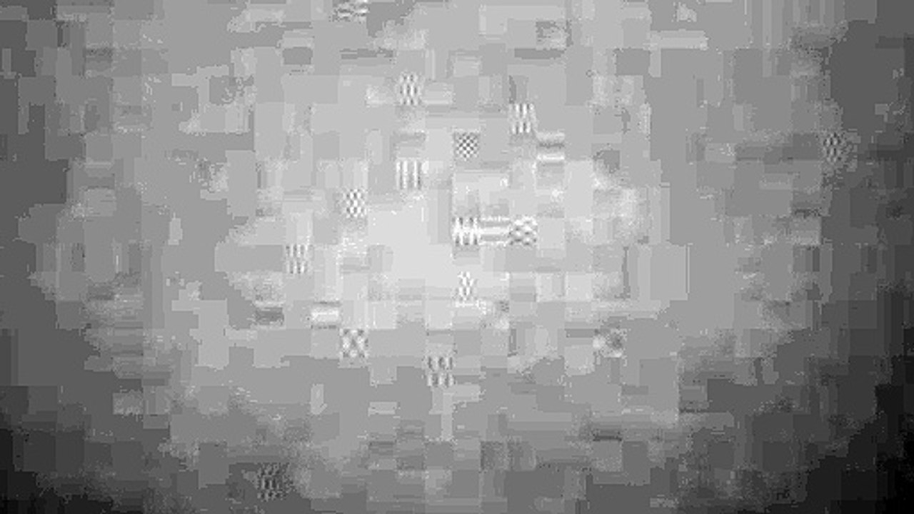 1 clip