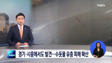 수돗물 유충 경기 시흥·화성까지 확산…어디까지 번지나