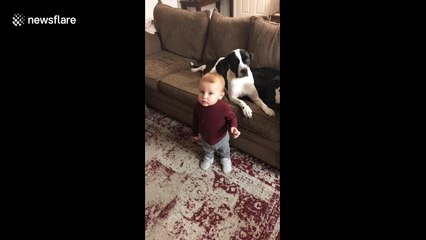 Small baby is DELIGHTED by Will Smith song being played by Amazon Alexa