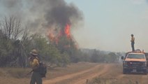 More states join pact to prevent wildfires