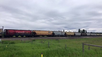 CP Eastbound Grain at Cochrane