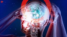 14 Interesting Facts About Human Brain That You Really Dont Know
