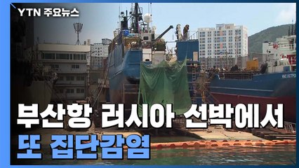 부산항 러시아 선박에서 또 집단감염...한 달 사이 42명 / YTN