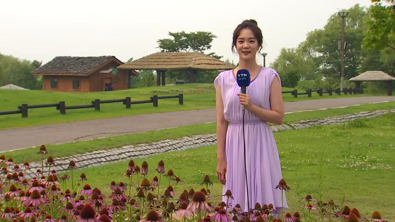 [날씨] 주말 내륙 30℃ 무더위...휴일 전국 장맛비 / YTN