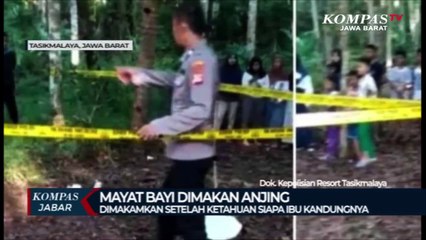 Mayat Bayi Dimakan Anjing