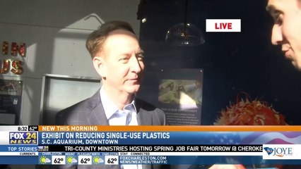 D. Michael Wilson  and the South Carolina Aquarium as Ingevity CEO