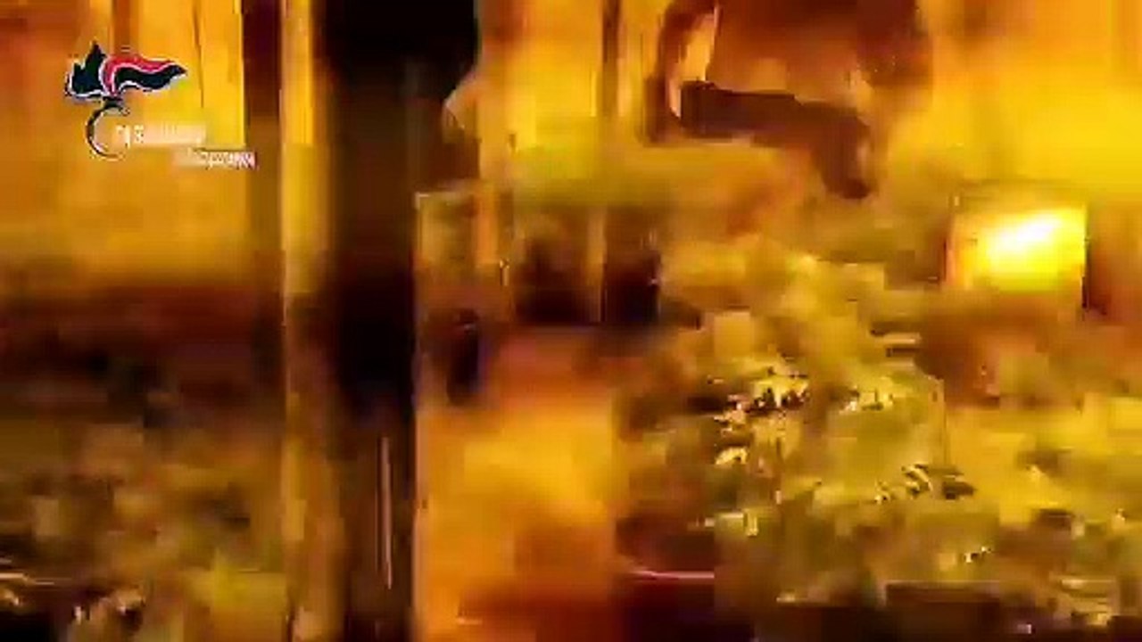Carabinieri scoprono piantagione di marijuana in bunker a Taurianova (RC)