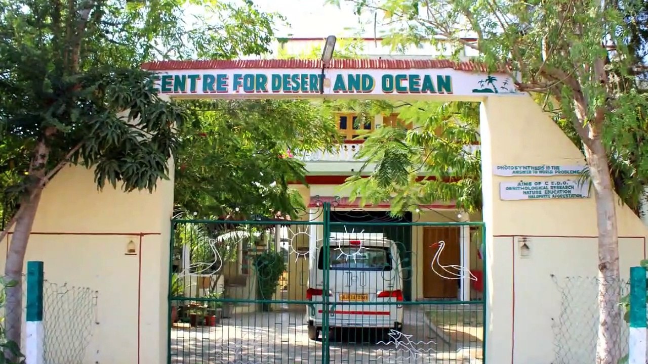 CEDO - #HomeStay Accommodation