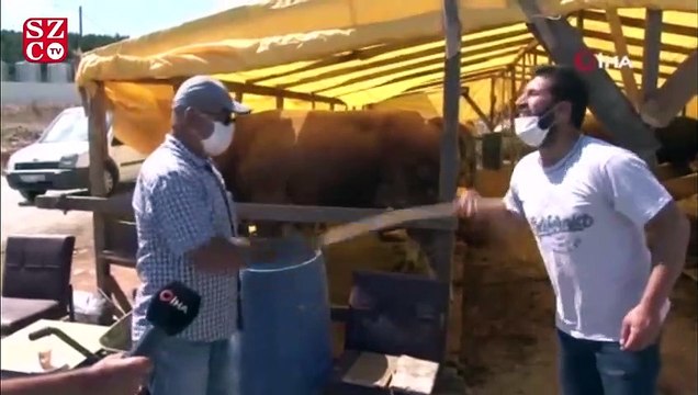 Hayvan pazarlarında sosyal mesafeli pazarlıklar başladı