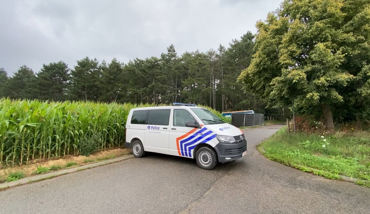 Des fouilles en cours à Pécrot (BW) en lien ave...