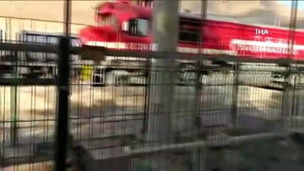 Trenin çarptığı dağ keçisi yaralandı