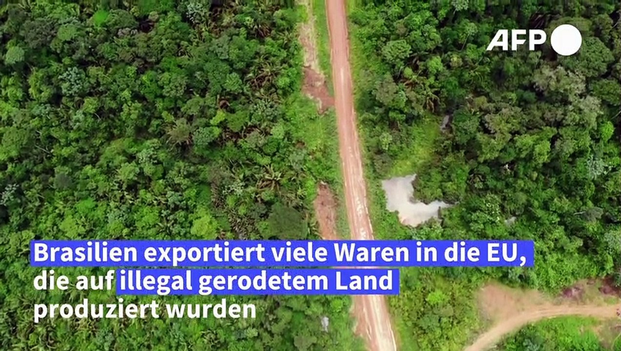 Brasiliens Exporte in die EU sind oft umweltschädlich