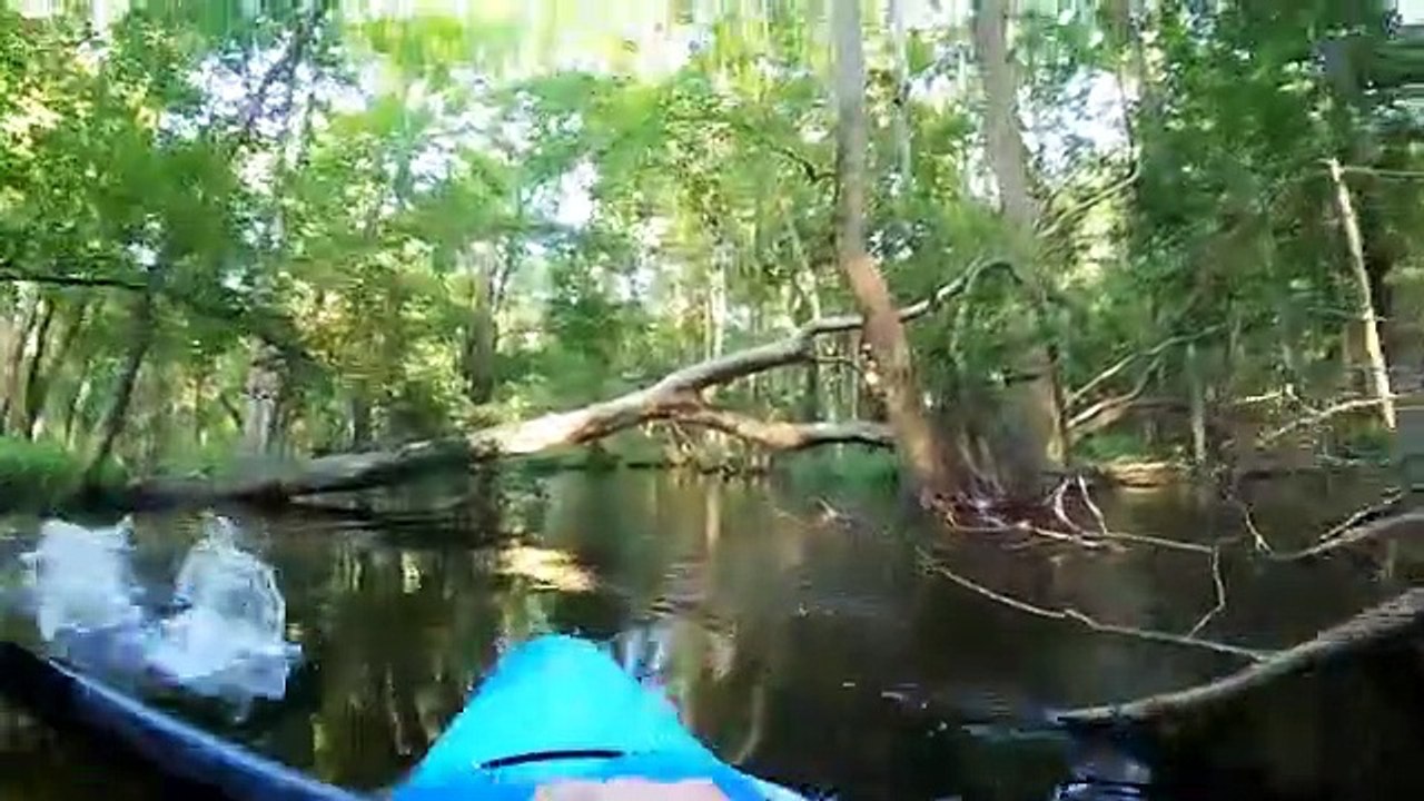 Kayakiste vs Alligator