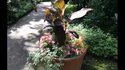 Pinneberg - Rosengarten Juli 2020 /Full Film/Complete Movie/Ganzer Film